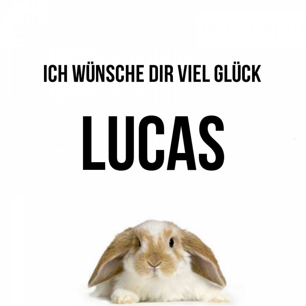 Открытка на каждый день с именем, Lucas Ich wünsche dir viel Glück открытки с произвольным текстом который можно вставить в открытку и создать ее самостоятельно бесплатно онлайн Прикольная открытка с пожеланием онлайн скачать бесплатно 