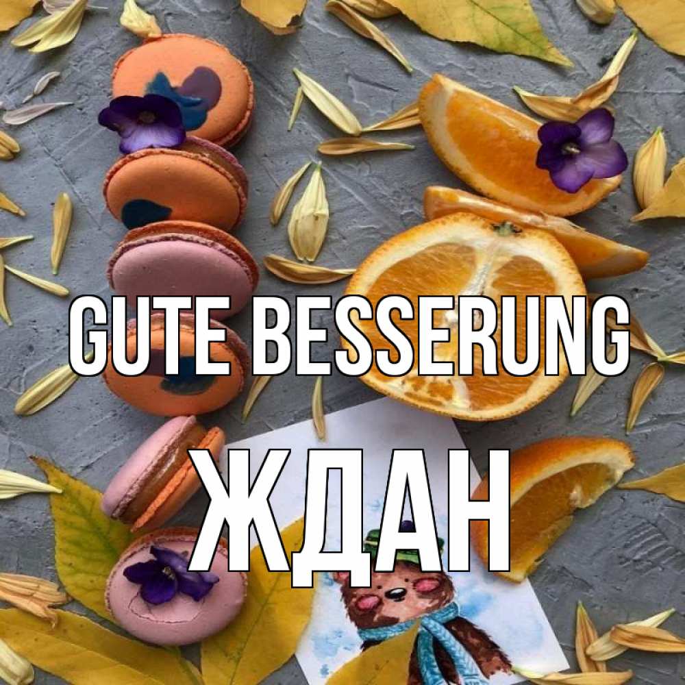 Открытка на каждый день с именем, Ждан Gute Besserung не болейте Прикольная открытка с пожеланием онлайн скачать бесплатно 