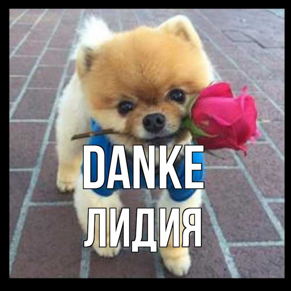 Открытка на каждый день с именем, Лидия Danke спасибо и дарю тебе цветок Прикольная открытка с пожеланием онлайн скачать бесплатно 