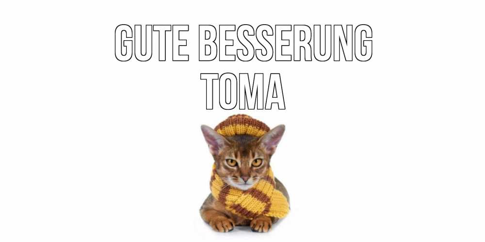 Открытка на каждый день с именем, Тома Gute Besserung родные не болейте Прикольная открытка с пожеланием онлайн скачать бесплатно 