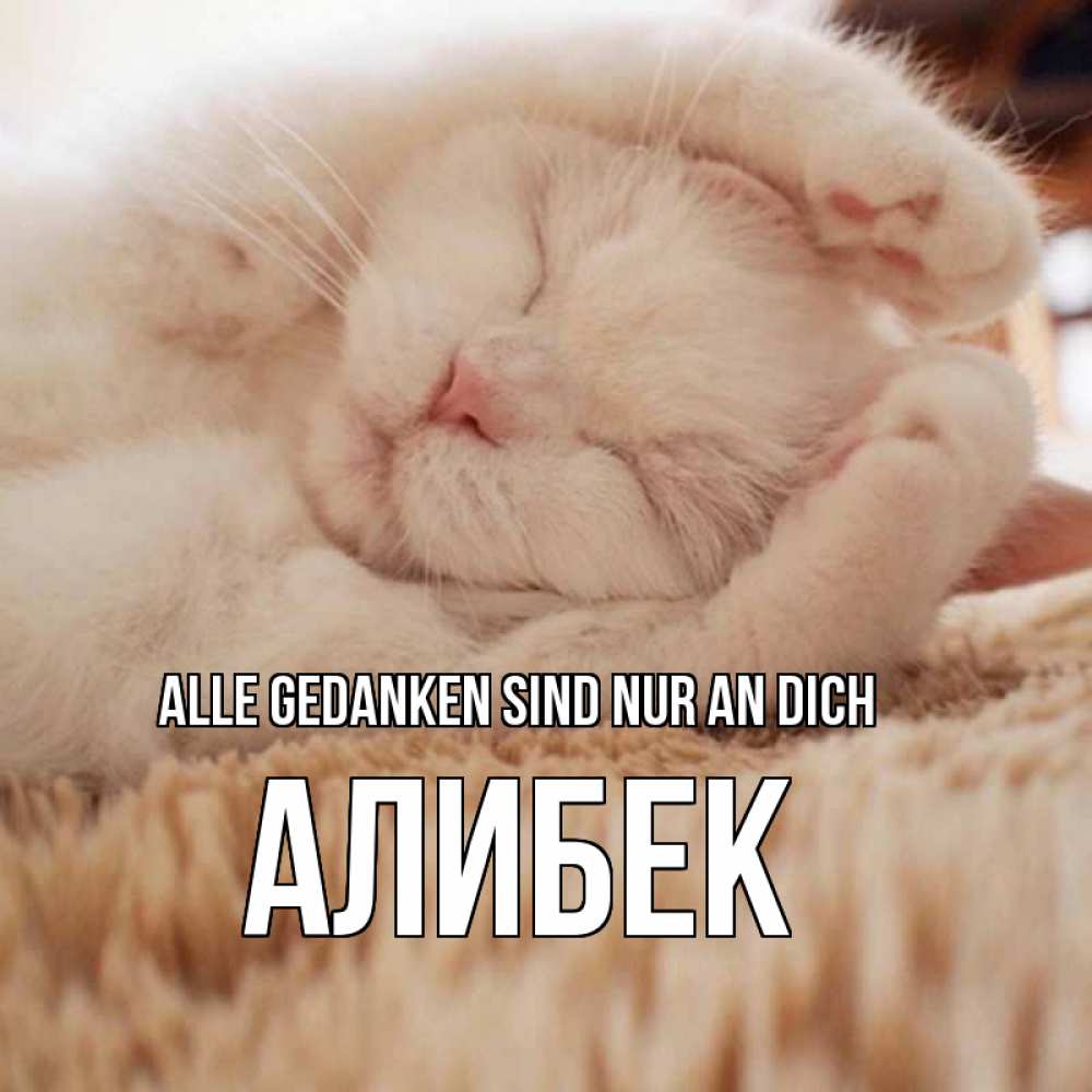 Открытка на каждый день с именем, Алибек Alle Gedanken sind nur an dich для любимой девушки милота Прикольная открытка с пожеланием онлайн скачать бесплатно 