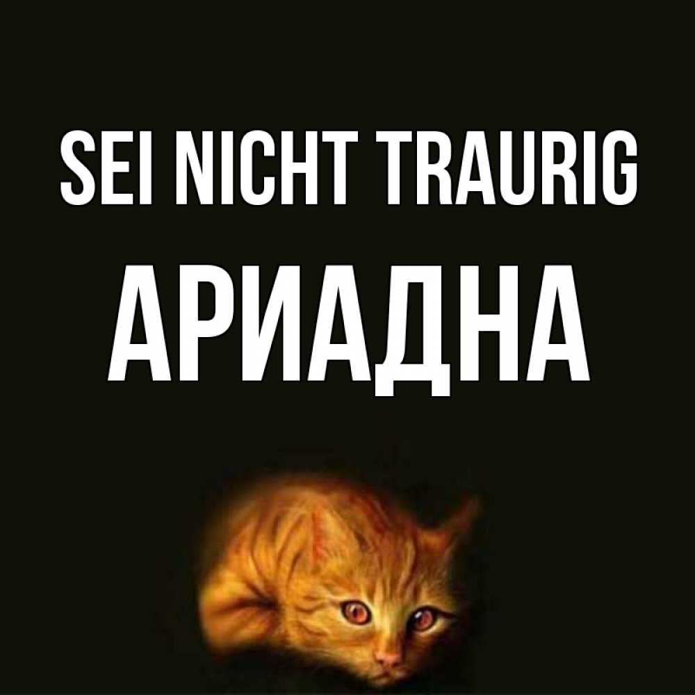 Открытка на каждый день с именем, Ариадна Sei nicht traurig лежащий кот в темноте Прикольная открытка с пожеланием онлайн скачать бесплатно 
