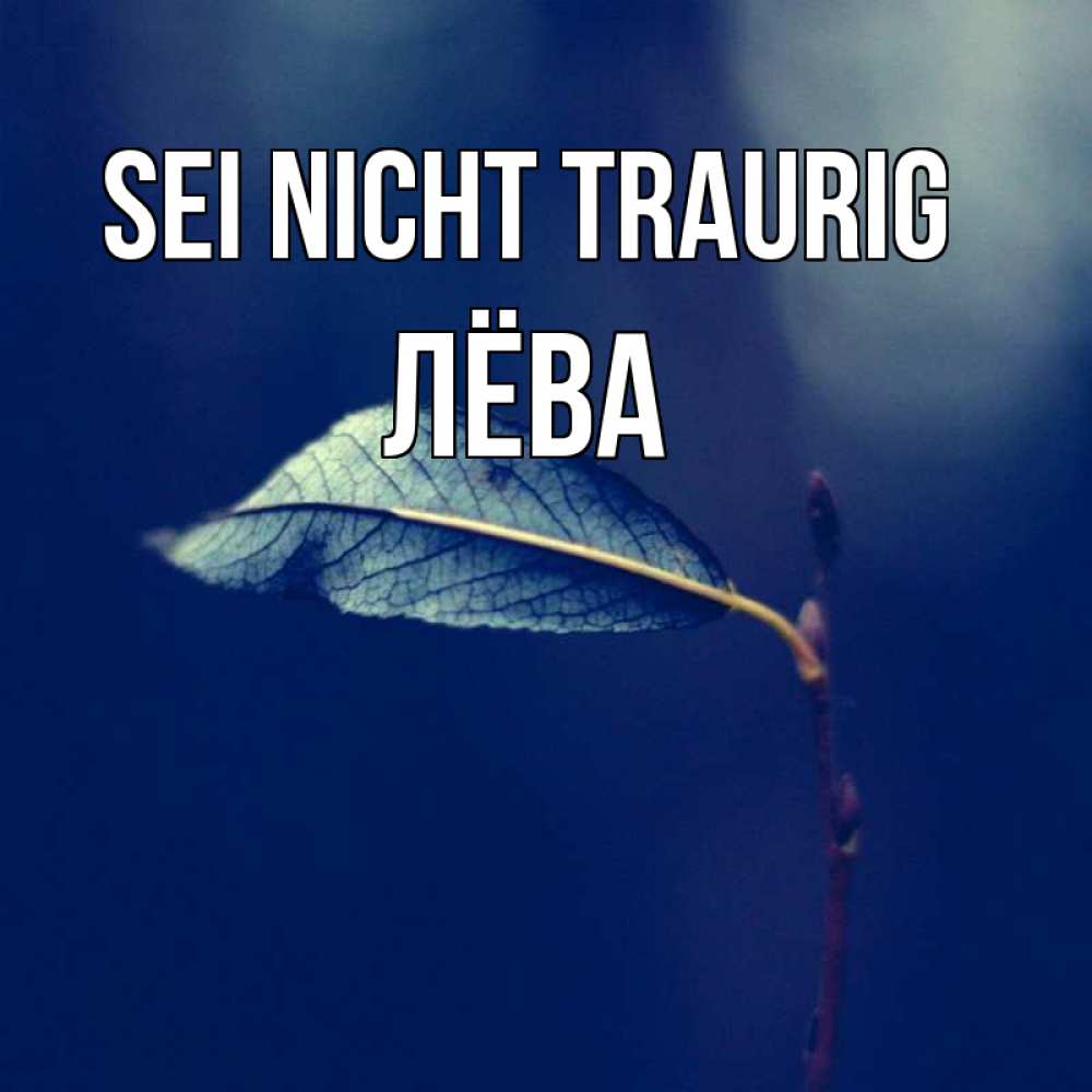 Открытка на каждый день с именем, Лёва Sei nicht traurig растение Прикольная открытка с пожеланием онлайн скачать бесплатно 