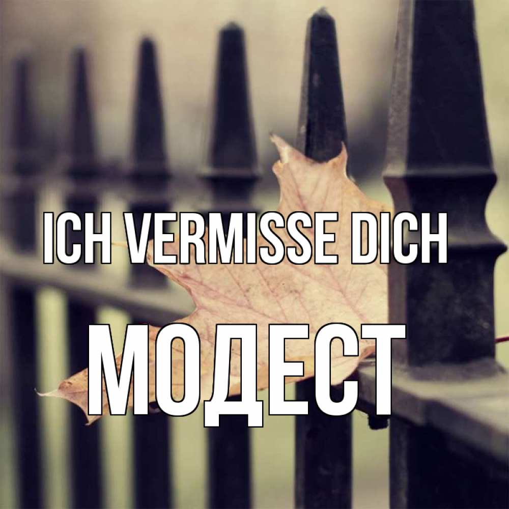 Открытка на каждый день с именем, Модест Ich vermisse dich очень скучно Прикольная открытка с пожеланием онлайн скачать бесплатно 