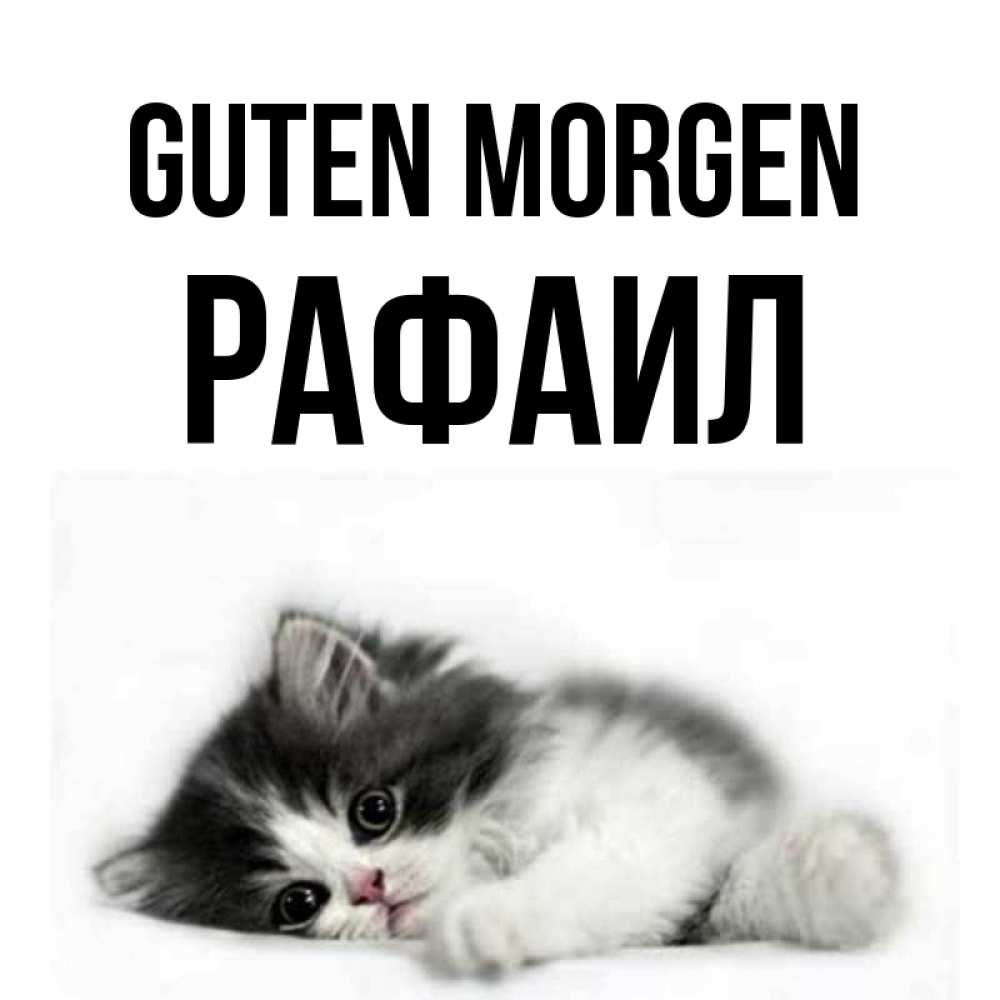 Открытка на каждый день с именем, Рафаил Guten Morgen кот лапки Прикольная открытка с пожеланием онлайн скачать бесплатно 