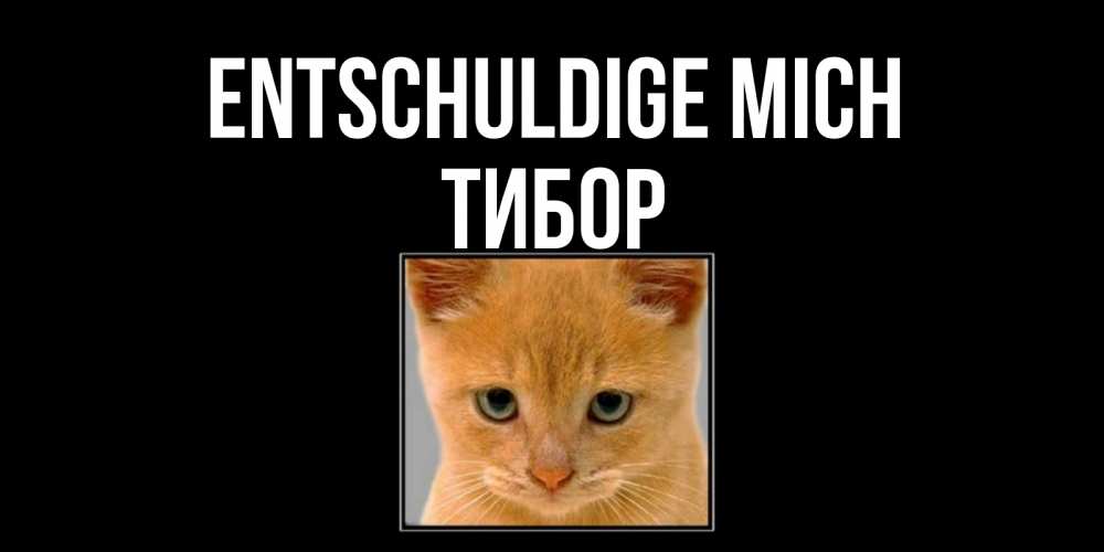 Открытка на каждый день с именем, Тибор Entschuldige mich рыжий грустный кот просит прощения Прикольная открытка с пожеланием онлайн скачать бесплатно 