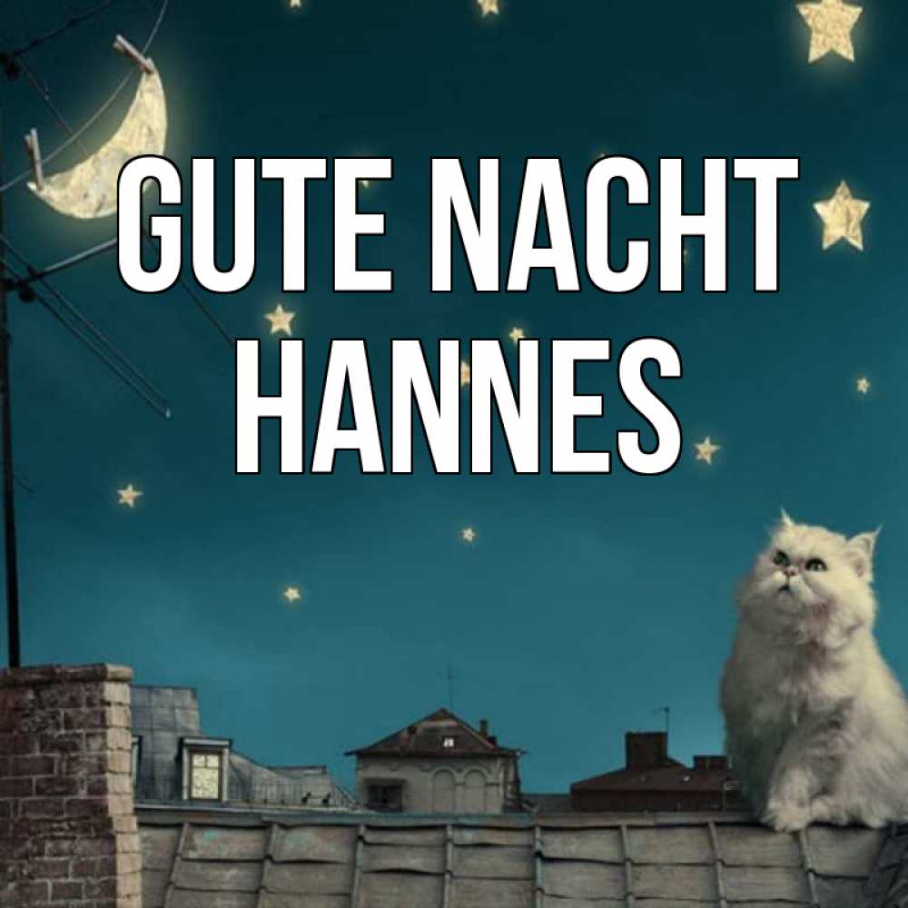 Открытка на каждый день с именем, Hannes Gute Nacht белый кот сидит на крыше Прикольная открытка с пожеланием онлайн скачать бесплатно 