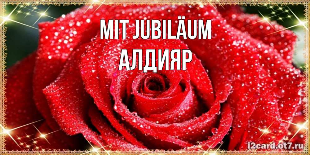 Открытка на каждый день с именем, Алдияр Mit Jubiläum роса и роза. открытка с красивой розой Прикольная открытка с пожеланием онлайн скачать бесплатно 