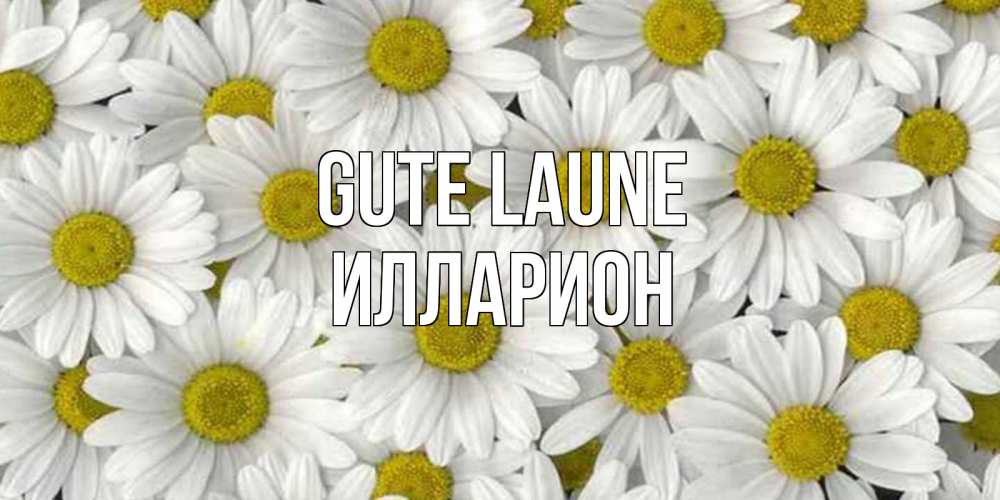 Открытка на каждый день с именем, Илларион Gute Laune поляна ромашек Прикольная открытка с пожеланием онлайн скачать бесплатно 