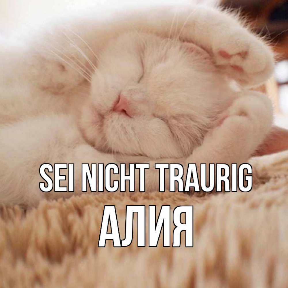 Открытка на каждый день с именем, Алия Sei nicht traurig белый кот Прикольная открытка с пожеланием онлайн скачать бесплатно 
