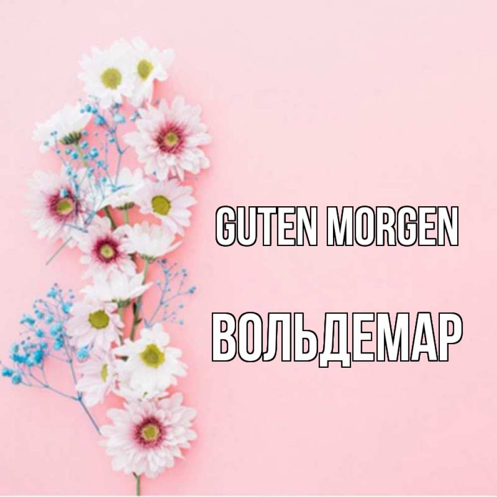 Открытка на каждый день с именем, Вольдемар Guten Morgen цветы с подписью Прикольная открытка с пожеланием онлайн скачать бесплатно 