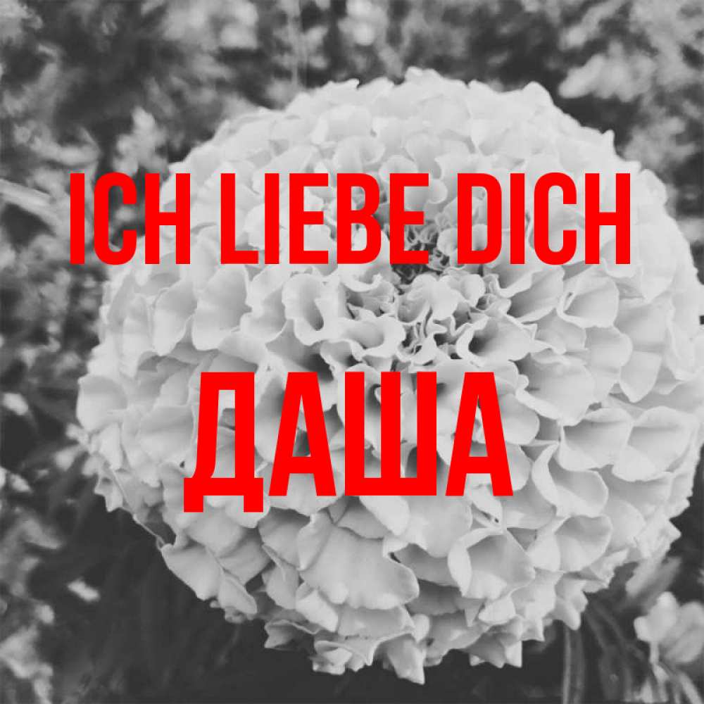 Открытка на каждый день с именем, Даша Ich liebe dich подпись Прикольная открытка с пожеланием онлайн скачать бесплатно 