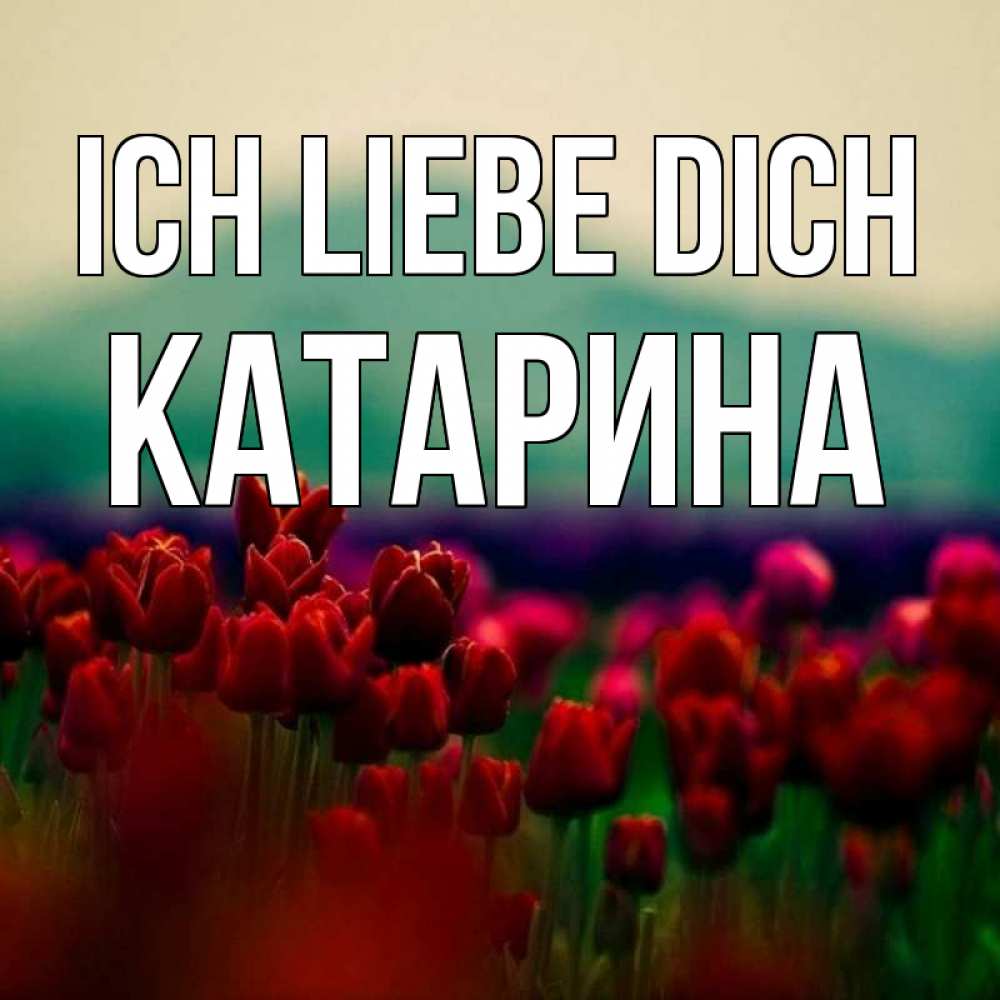 Открытка на каждый день с именем, Катарина Ich liebe dich тюльпаны 4 Прикольная открытка с пожеланием онлайн скачать бесплатно 