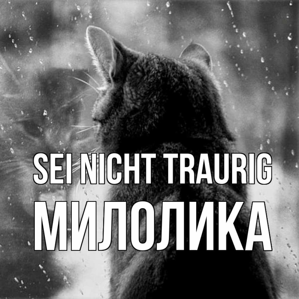 Открытка на каждый день с именем, Милолика Sei nicht traurig отражение кота 1 Прикольная открытка с пожеланием онлайн скачать бесплатно 