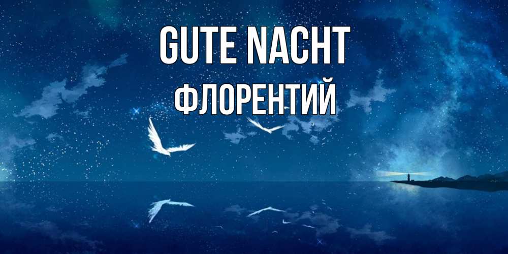 Открытка на каждый день с именем, Флорентий Gute Nacht птицы летят на фоне ночного неба Прикольная открытка с пожеланием онлайн скачать бесплатно 