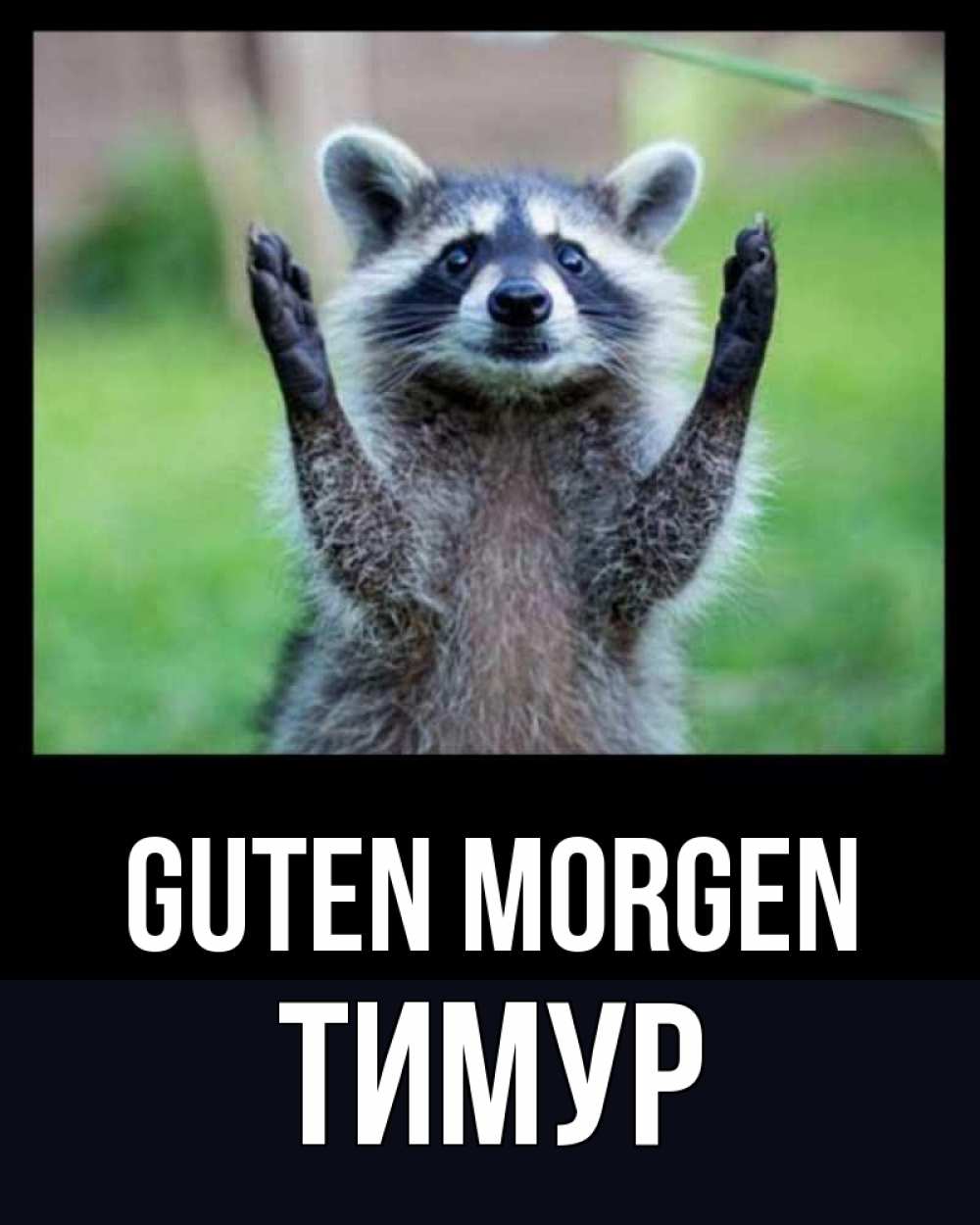Открытка на каждый день с именем, Тимур Guten Morgen хорошее настроение утречком Прикольная открытка с пожеланием онлайн скачать бесплатно 