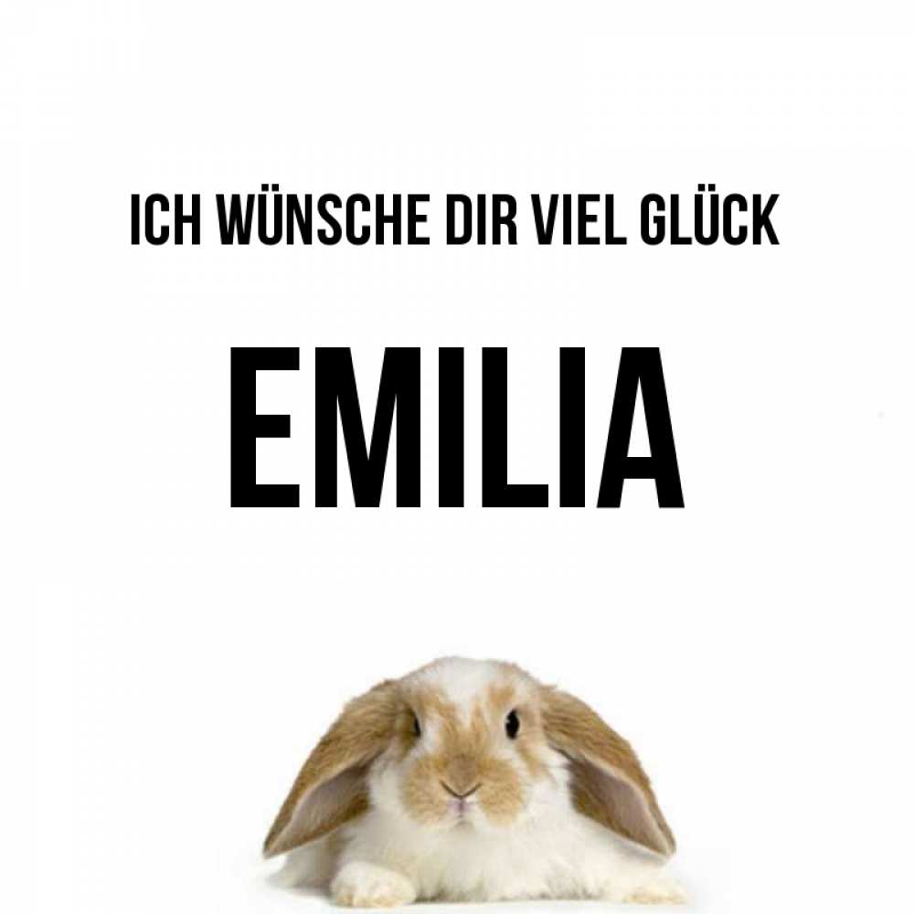 Открытка на каждый день с именем, Emilia Ich wünsche dir viel Glück открытки с произвольным текстом который можно вставить в открытку и создать ее самостоятельно бесплатно онлайн Прикольная открытка с пожеланием онлайн скачать бесплатно 