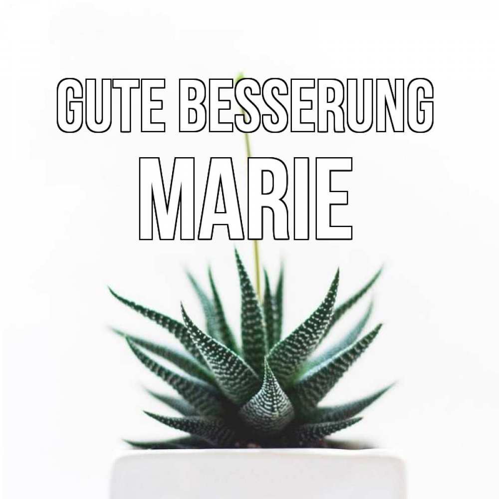 Открытка на каждый день с именем, Marie Gute Besserung короче это непонятная колючка Прикольная открытка с пожеланием онлайн скачать бесплатно 