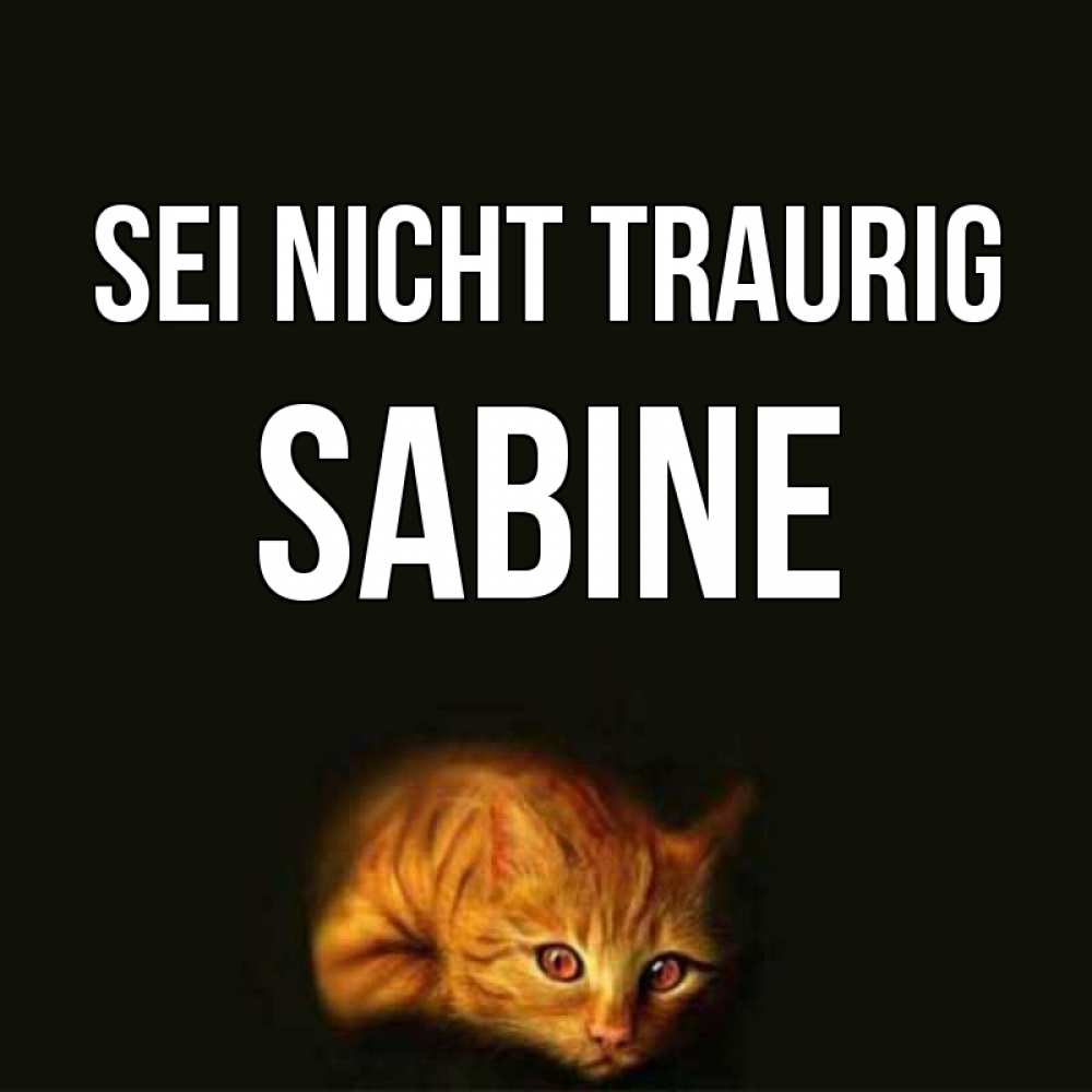 Открытка на каждый день с именем, Sabine Sei nicht traurig лежащий кот в темноте Прикольная открытка с пожеланием онлайн скачать бесплатно 
