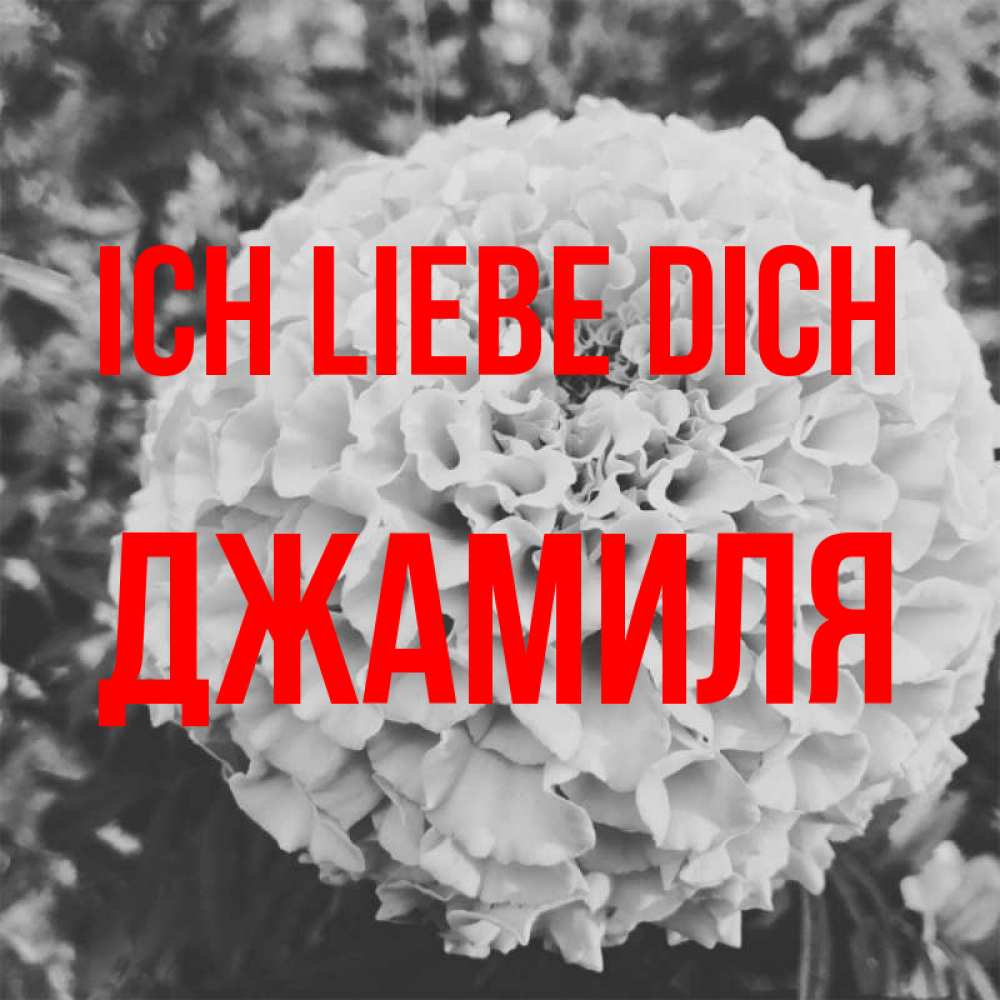Открытка на каждый день с именем, Джамиля Ich liebe dich подпись Прикольная открытка с пожеланием онлайн скачать бесплатно 