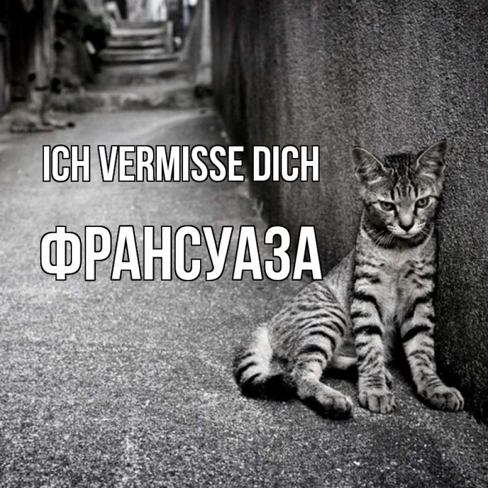 Открытка на каждый день с именем, Франсуаза Ich vermisse dich одиноко котику Прикольная открытка с пожеланием онлайн скачать бесплатно 