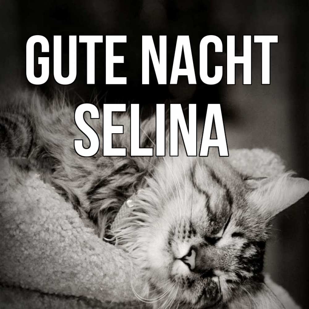 Открытка на каждый день с именем, Selina Gute Nacht котярик пушистый Прикольная открытка с пожеланием онлайн скачать бесплатно 