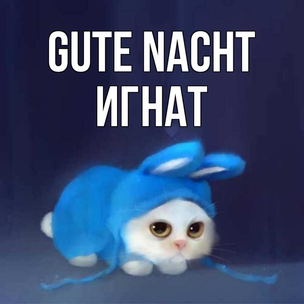 Открытка на каждый день с именем, Игнат Gute Nacht кот в голубом костюме кролика с ушками Прикольная открытка с пожеланием онлайн скачать бесплатно 