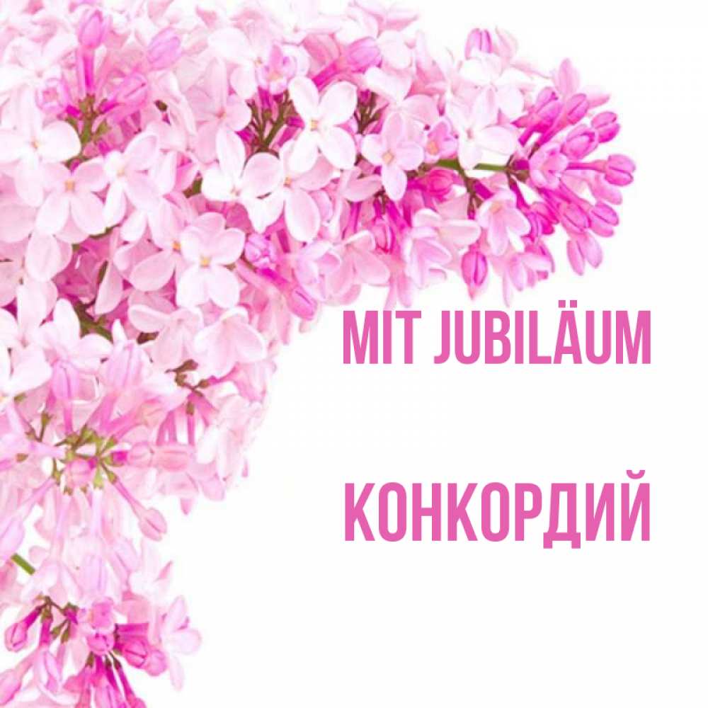 Открытка на каждый день с именем, Конкордий Mit Jubiläum Сирень на белом фоне Прикольная открытка с пожеланием онлайн скачать бесплатно 