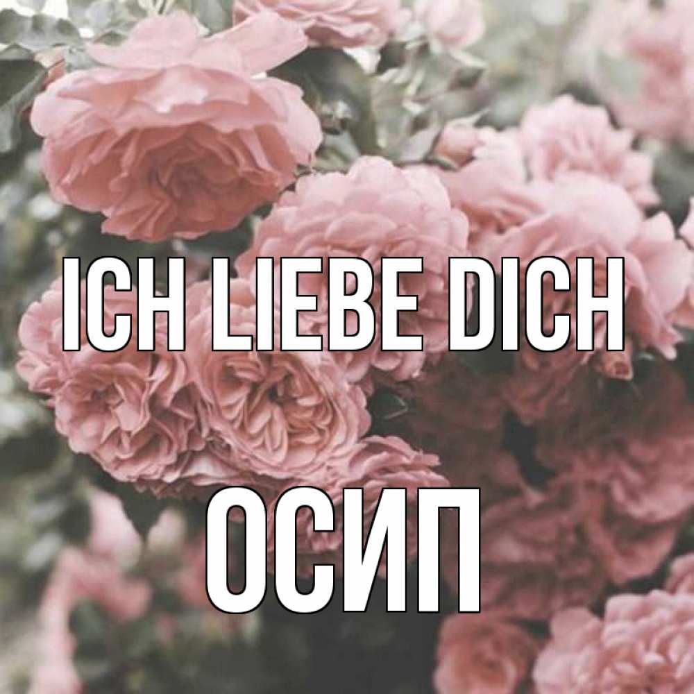 Открытка на каждый день с именем, Осип Ich liebe dich розы 3 Прикольная открытка с пожеланием онлайн скачать бесплатно 