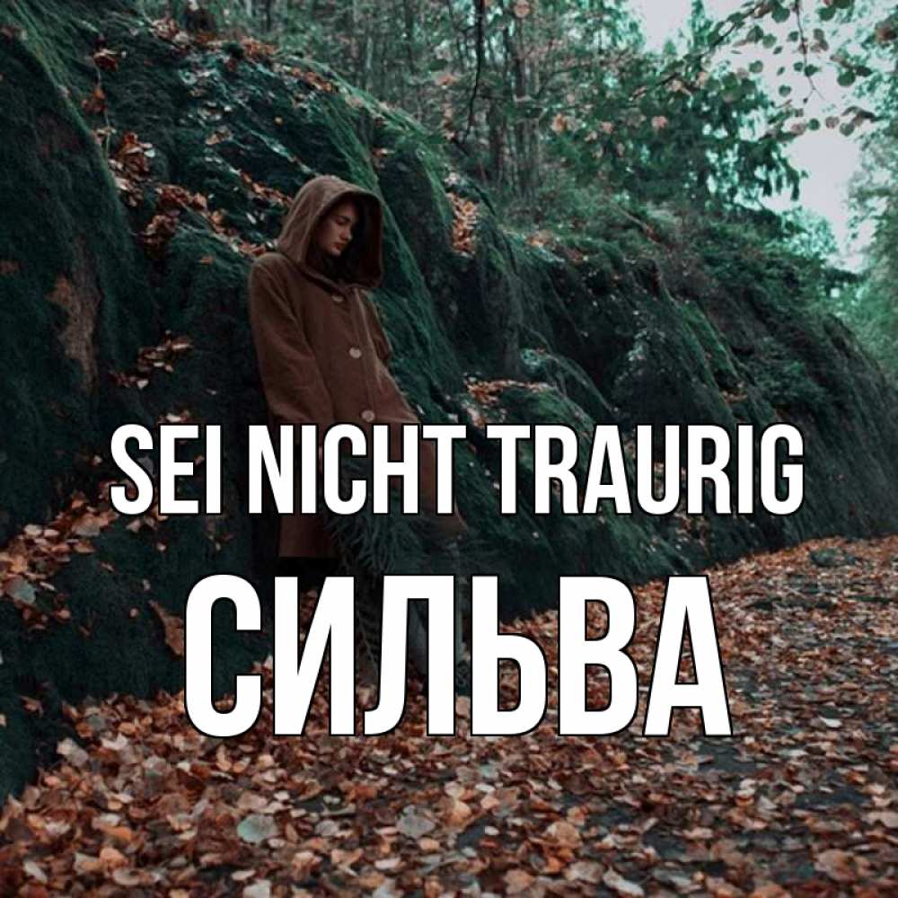Открытка на каждый день с именем, Сильва Sei nicht traurig осенний лес Прикольная открытка с пожеланием онлайн скачать бесплатно 