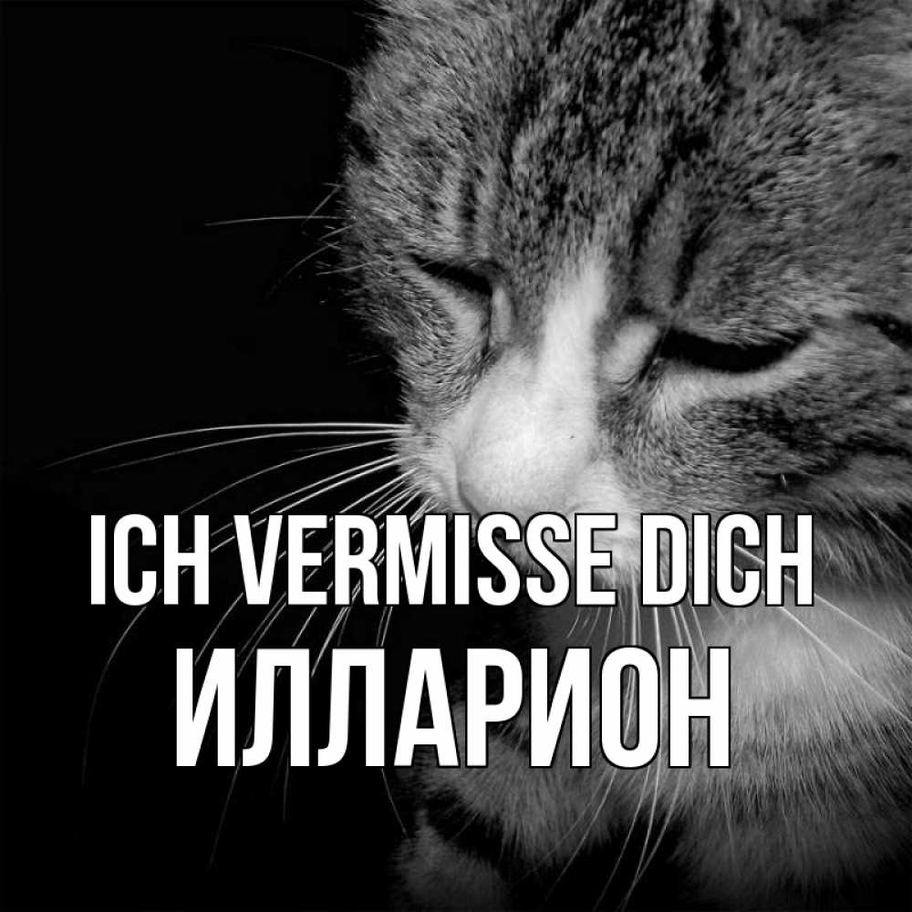 Открытка на каждый день с именем, Илларион Ich vermisse dich мне скучно Прикольная открытка с пожеланием онлайн скачать бесплатно 