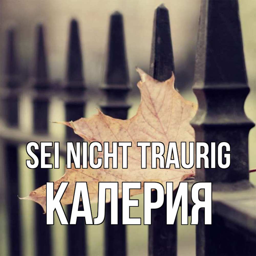 Открытка на каждый день с именем, Калерия Sei nicht traurig лист клена Прикольная открытка с пожеланием онлайн скачать бесплатно 