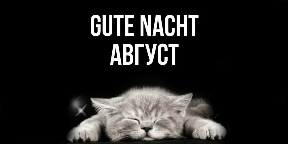 Открытка на каждый день с именем, Август Gute Nacht спящий котик Прикольная открытка с пожеланием онлайн скачать бесплатно 