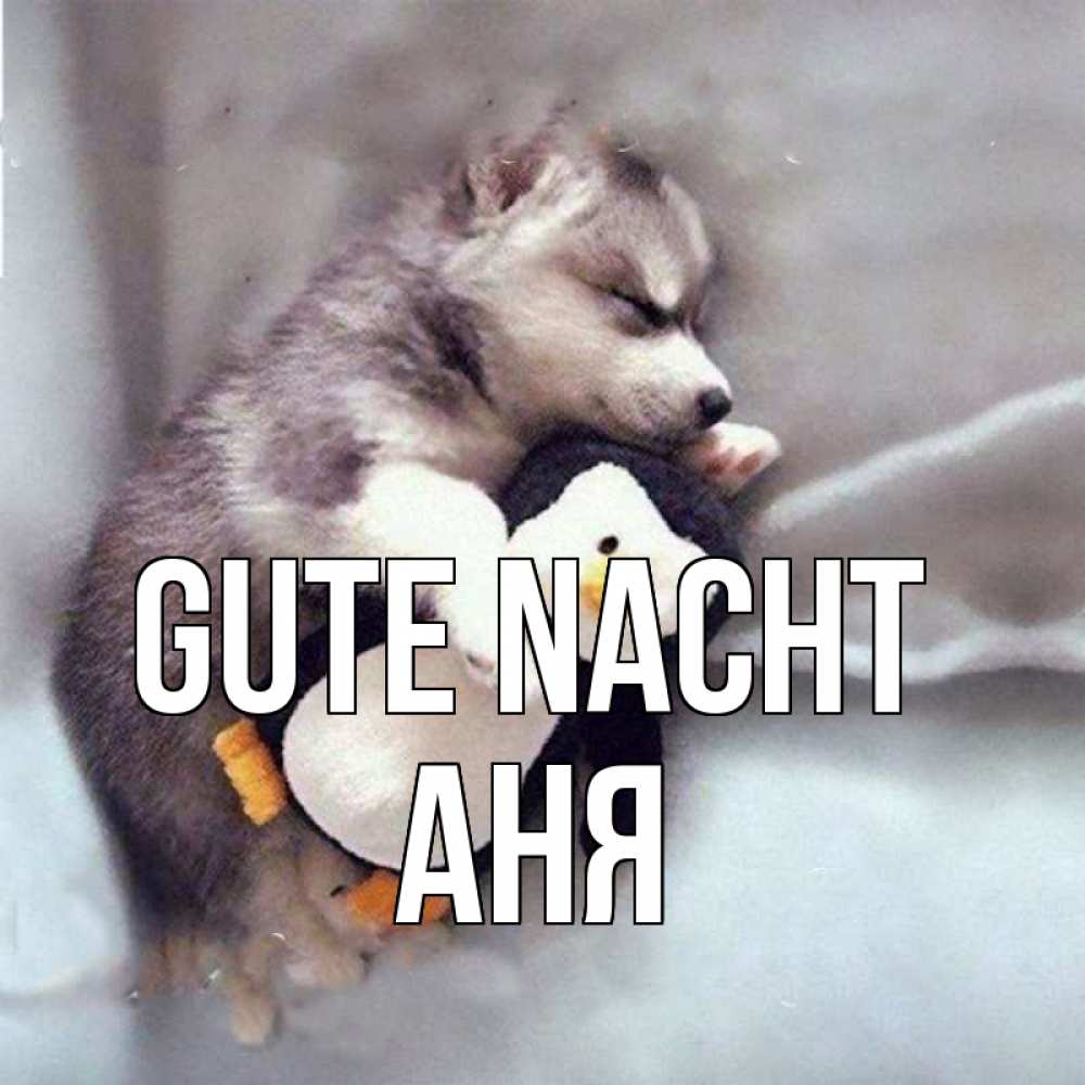 Открытка на каждый день с именем, Аня Gute Nacht обнимашки щенка и пингвина Прикольная открытка с пожеланием онлайн скачать бесплатно 