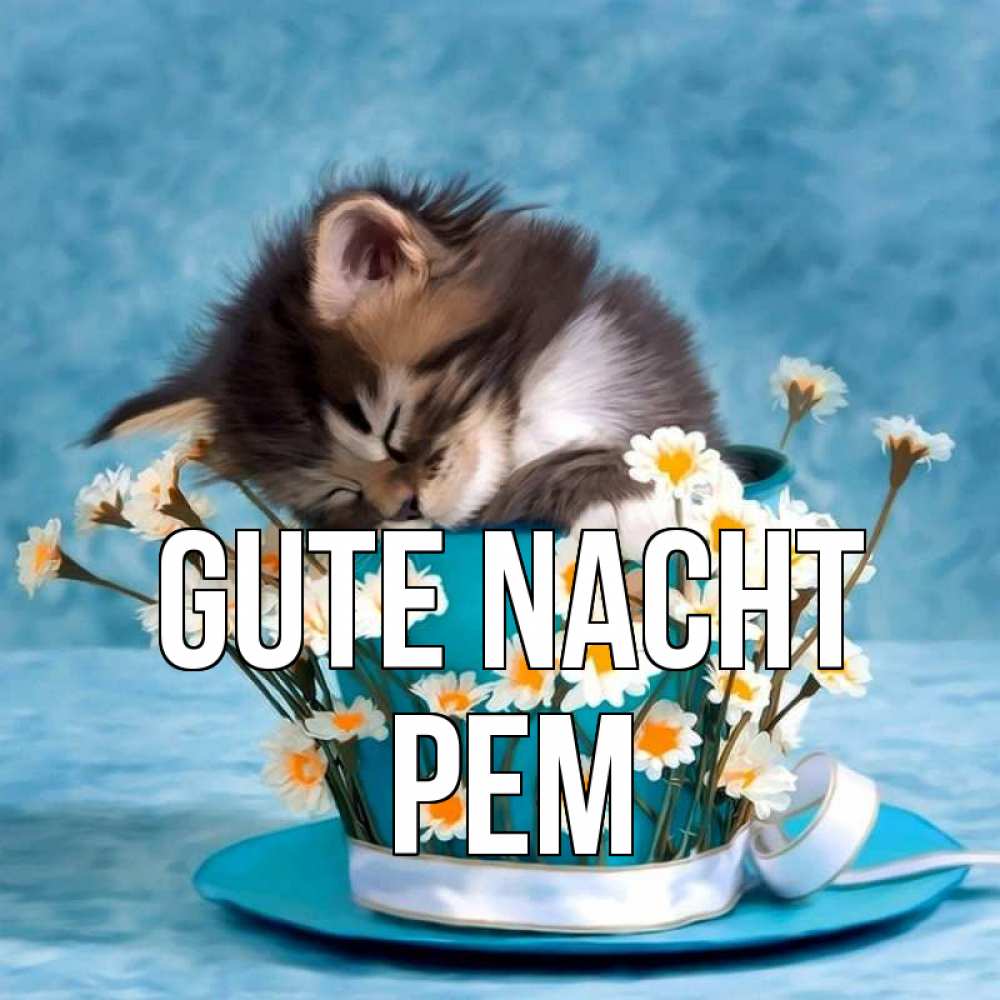 Открытка на каждый день с именем, Рем Gute Nacht котенок спит в кружке с блюдцем Прикольная открытка с пожеланием онлайн скачать бесплатно 