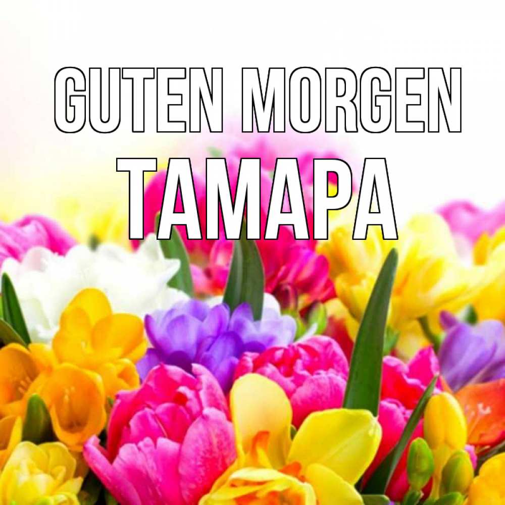Открытка на каждый день с именем, Тамара Guten Morgen создать открытку со свое подписью Прикольная открытка с пожеланием онлайн скачать бесплатно 