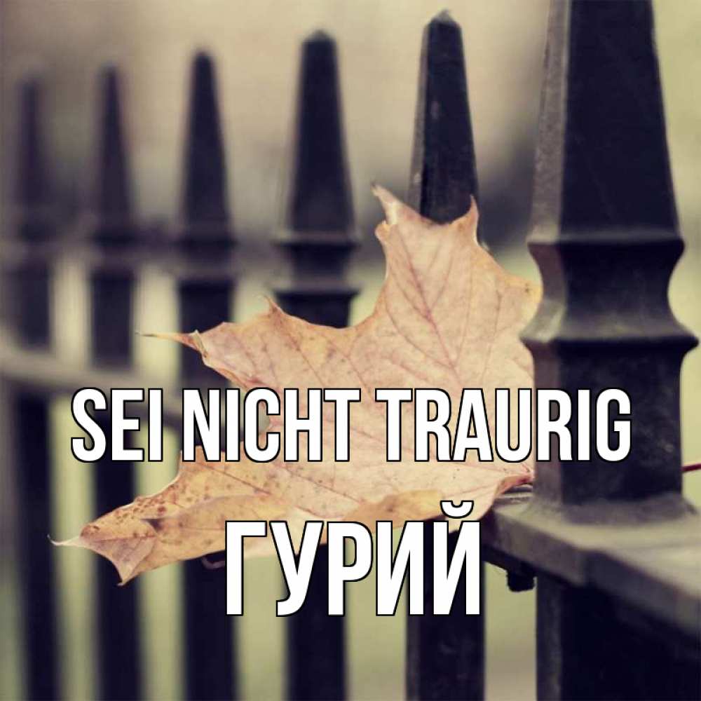 Открытка на каждый день с именем, Гурий Sei nicht traurig лист клена Прикольная открытка с пожеланием онлайн скачать бесплатно 