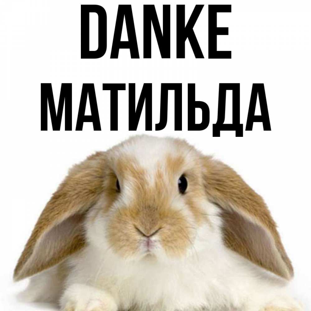 Открытка на каждый день с именем, Матильда Danke коричнево белый заяц Прикольная открытка с пожеланием онлайн скачать бесплатно 