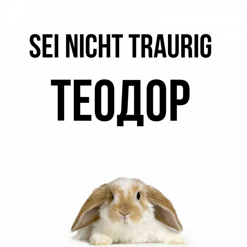Открытка на каждый день с именем, Теодор Sei nicht traurig коричнево белый заяц с большими ушками Прикольная открытка с пожеланием онлайн скачать бесплатно 