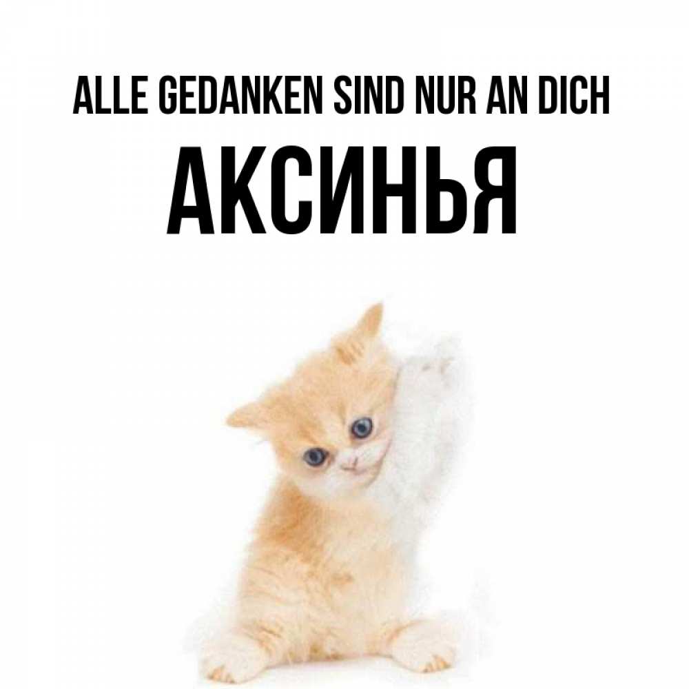 Открытка на каждый день с именем, Аксинья Alle Gedanken sind nur an dich зверушки и милота Прикольная открытка с пожеланием онлайн скачать бесплатно 