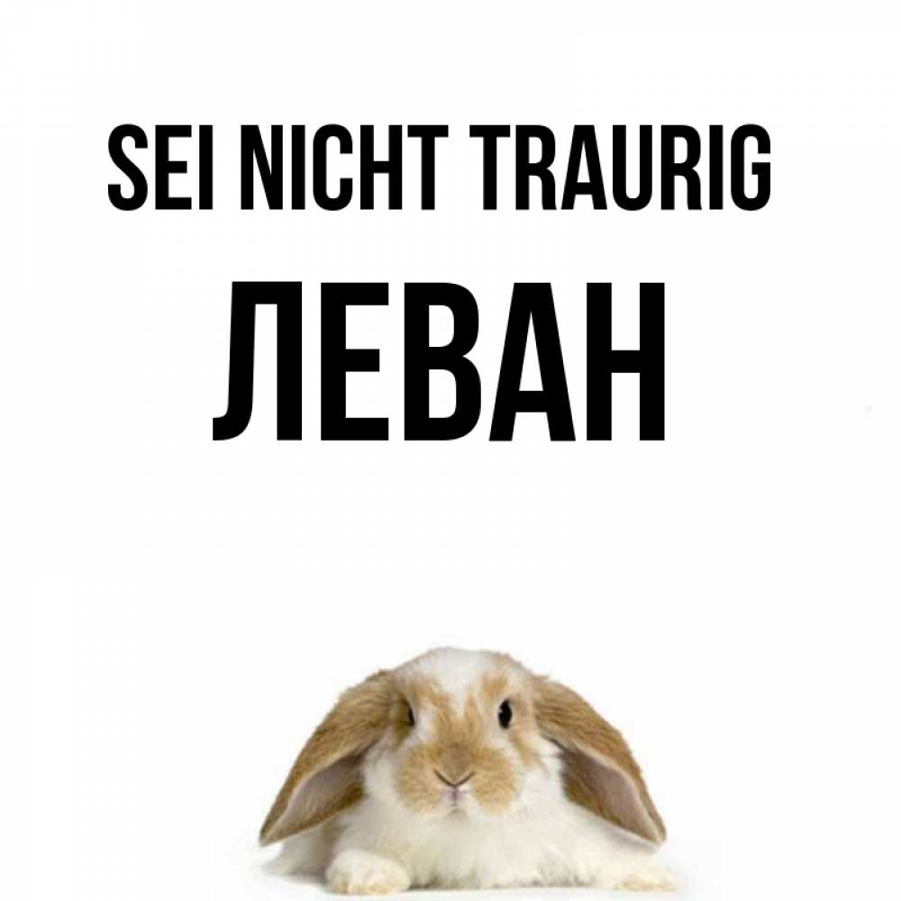 Открытка на каждый день с именем, Леван Sei nicht traurig коричнево белый заяц с большими ушками Прикольная открытка с пожеланием онлайн скачать бесплатно 