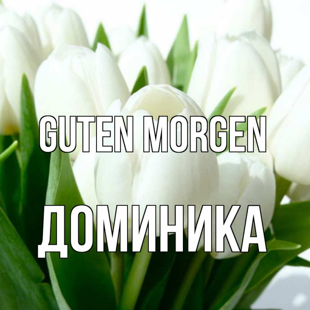 Открытка на каждый день с именем, Доминика Guten Morgen открытки на каждый день по именам Прикольная открытка с пожеланием онлайн скачать бесплатно 