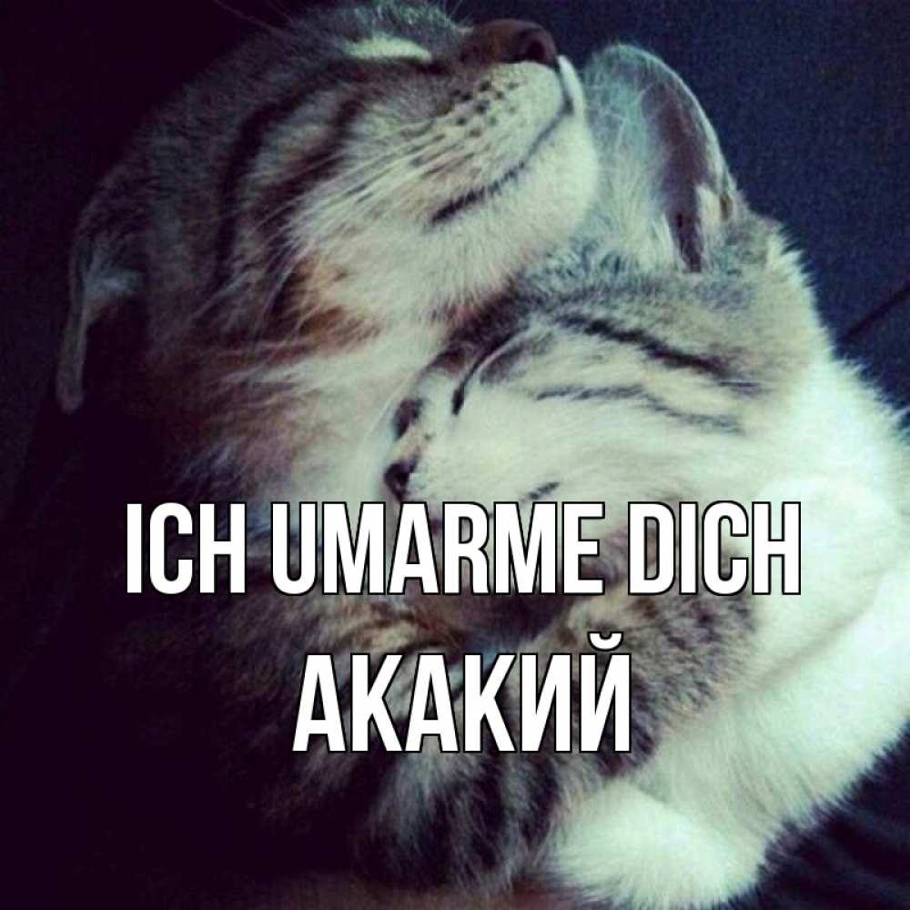 Открытка на каждый день с именем, Акакий Ich umarme dich полосатики Прикольная открытка с пожеланием онлайн скачать бесплатно 