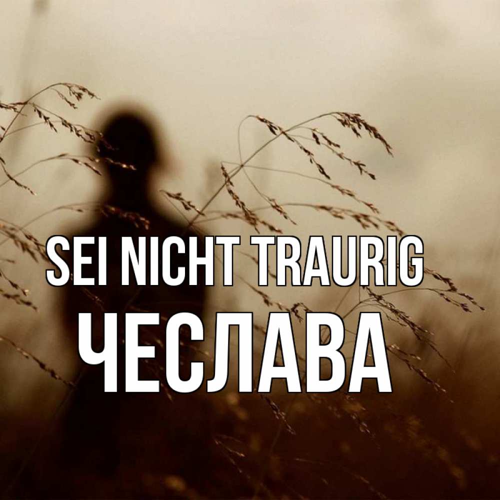 Открытка на каждый день с именем, Чеслава Sei nicht traurig грусть Прикольная открытка с пожеланием онлайн скачать бесплатно 