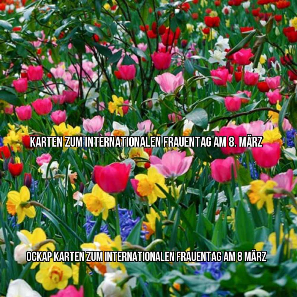 Картинка Karten zum Internationalen Frauentag am 8. März, Оскар