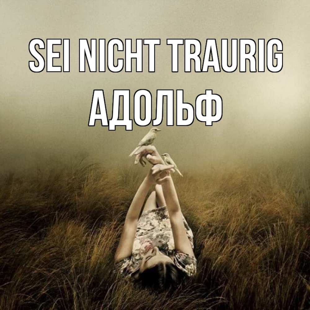 Открытка на каждый день с именем, Адольф Sei nicht traurig поле и туман Прикольная открытка с пожеланием онлайн скачать бесплатно 
