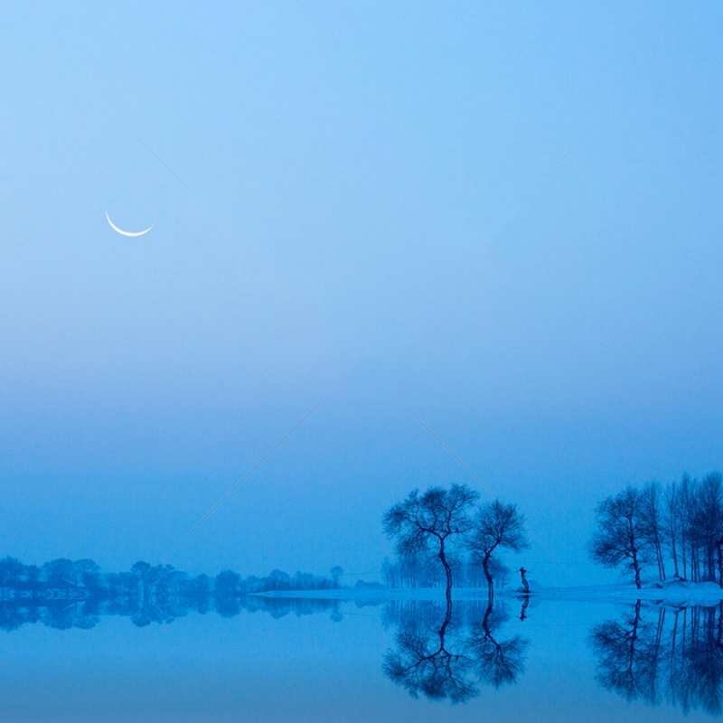 Открытка отражения деревьев в воде  весна  Gute Nacht 