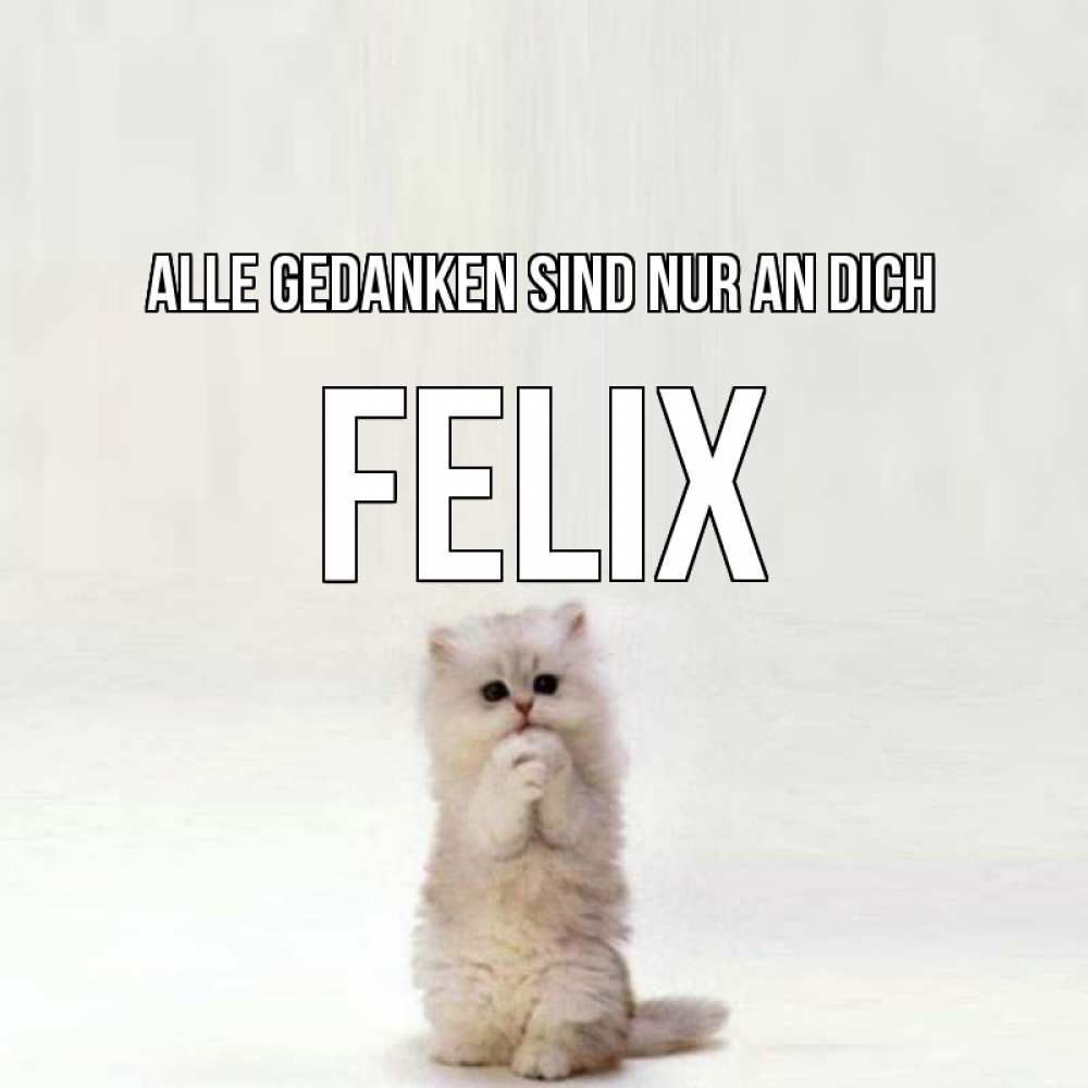 Открытка на каждый день с именем, Felix Alle Gedanken sind nur an dich кот стоит на задних лапах Прикольная открытка с пожеланием онлайн скачать бесплатно 