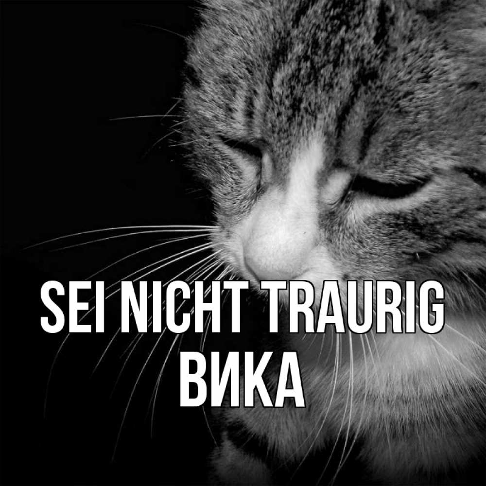 Открытка на каждый день с именем, Вика Sei nicht traurig грустный котик Прикольная открытка с пожеланием онлайн скачать бесплатно 