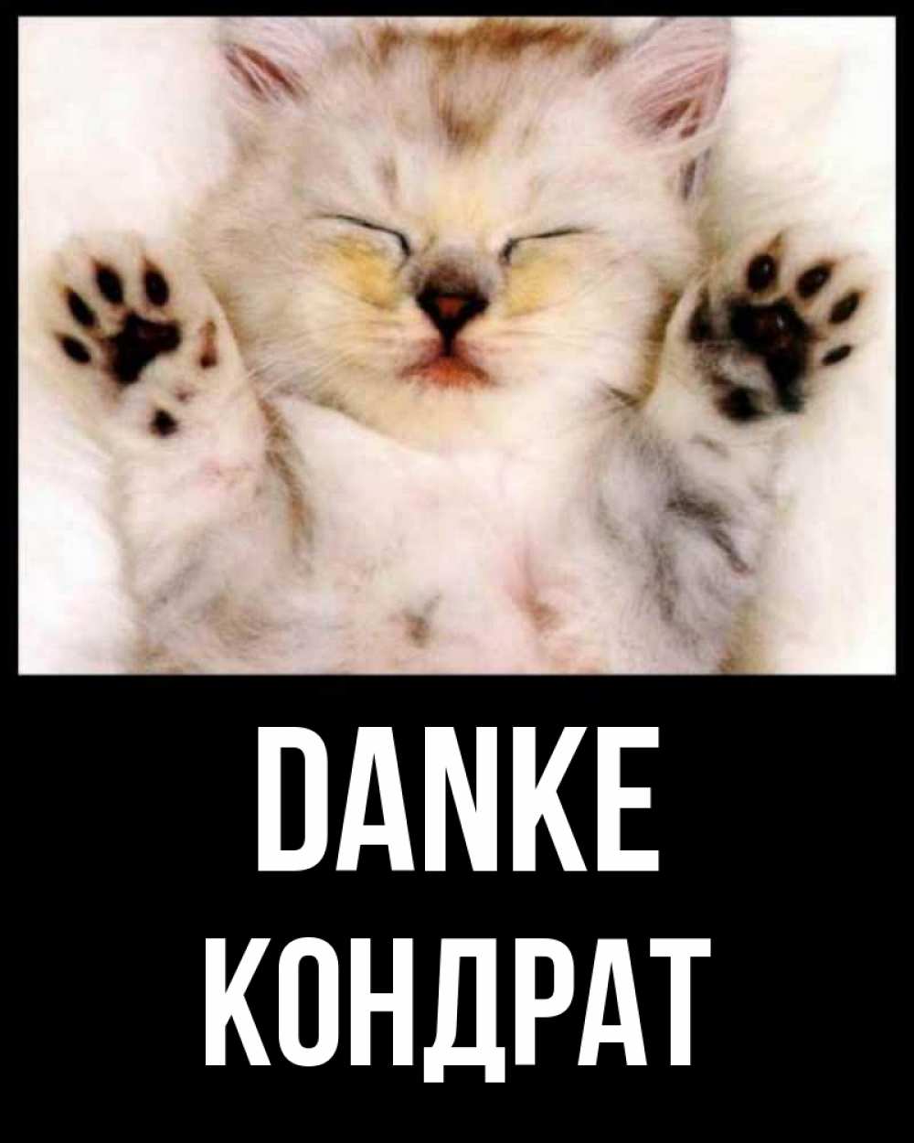 Открытка на каждый день с именем, Кондрат Danke маленький котенок Прикольная открытка с пожеланием онлайн скачать бесплатно 